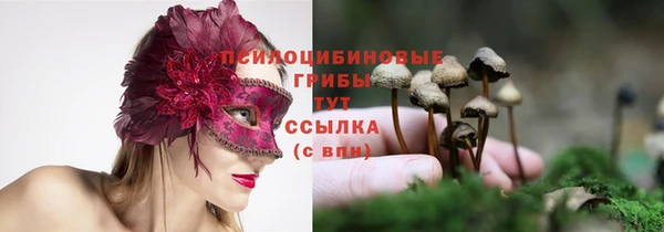 mdpv Переславль-Залесский