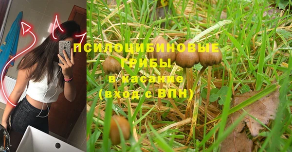 прущая мука Балахна