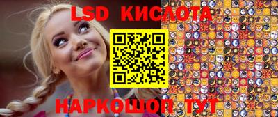 PSILOCYBIN Заволжье