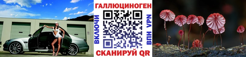 Псилоцибиновые грибы мицелий  купить  цена  blacksprut   Дагестанские Огни 