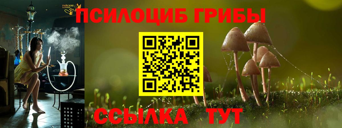 Галлюциногенные грибы Psilocybe Дагестанские Огни